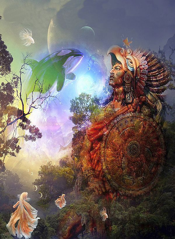 Multivers 4- Virakanga